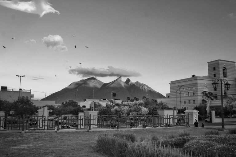 Monterrey, México, from Fatima Bejarano and Hernan Alejandro Perez Mora